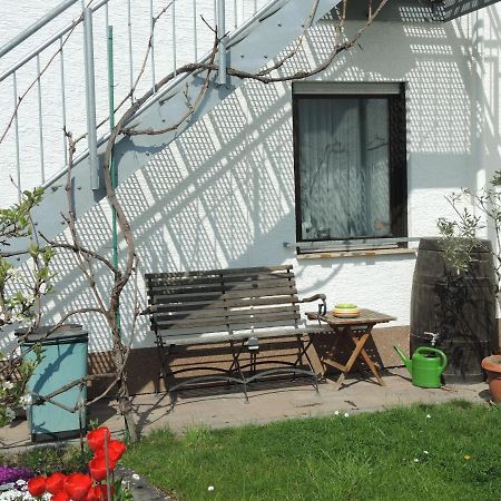 Apartement Am Kirschbaum Mommenheim Eksteriør bilde