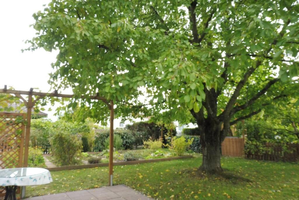 Apartement Am Kirschbaum Mommenheim Eksteriør bilde