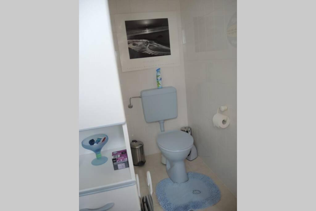 Apartement Am Kirschbaum Mommenheim Eksteriør bilde
