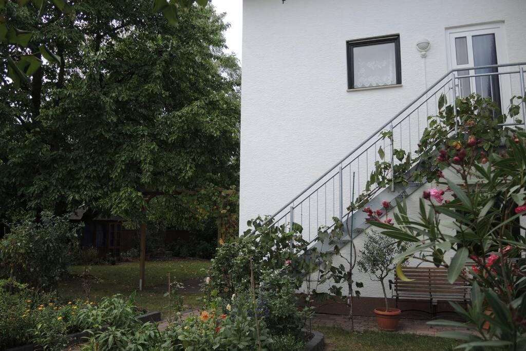 Apartement Am Kirschbaum Mommenheim Eksteriør bilde